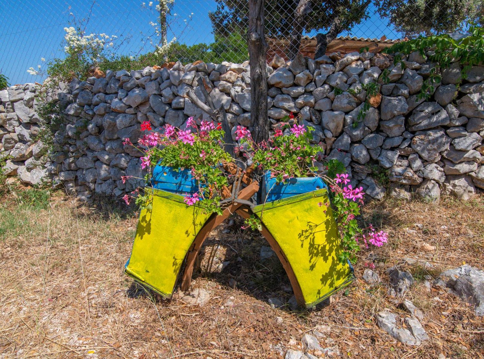 App Bonic Leilighet Veli Lošinj Eksteriør bilde