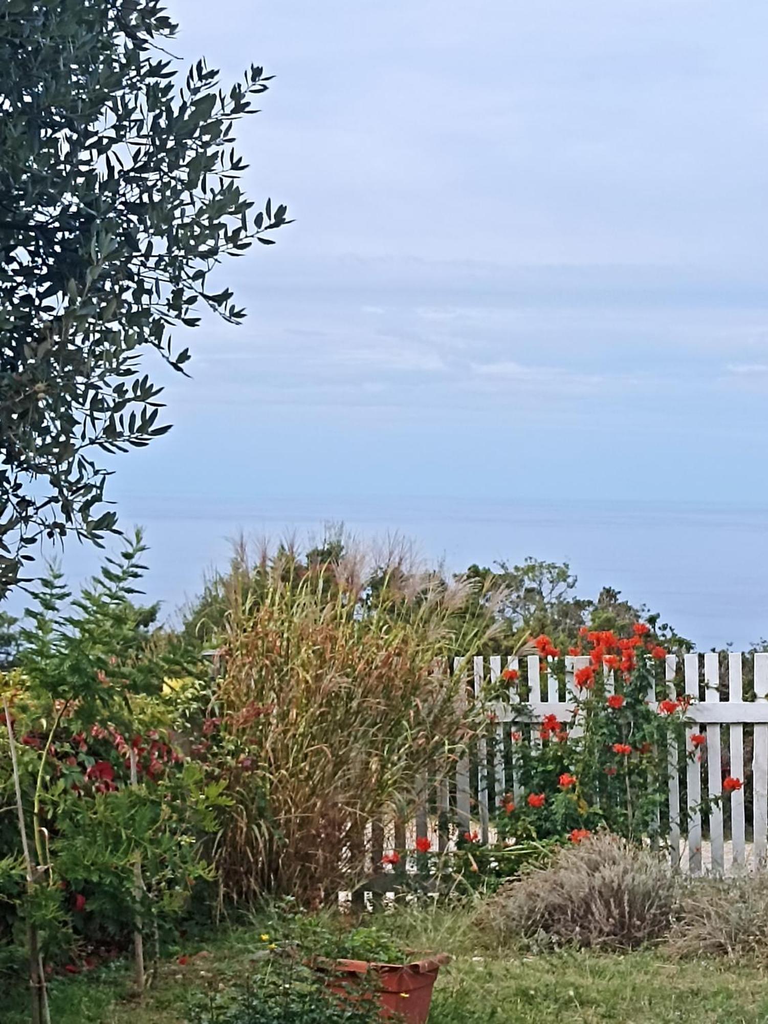 App Bonic Leilighet Veli Lošinj Eksteriør bilde