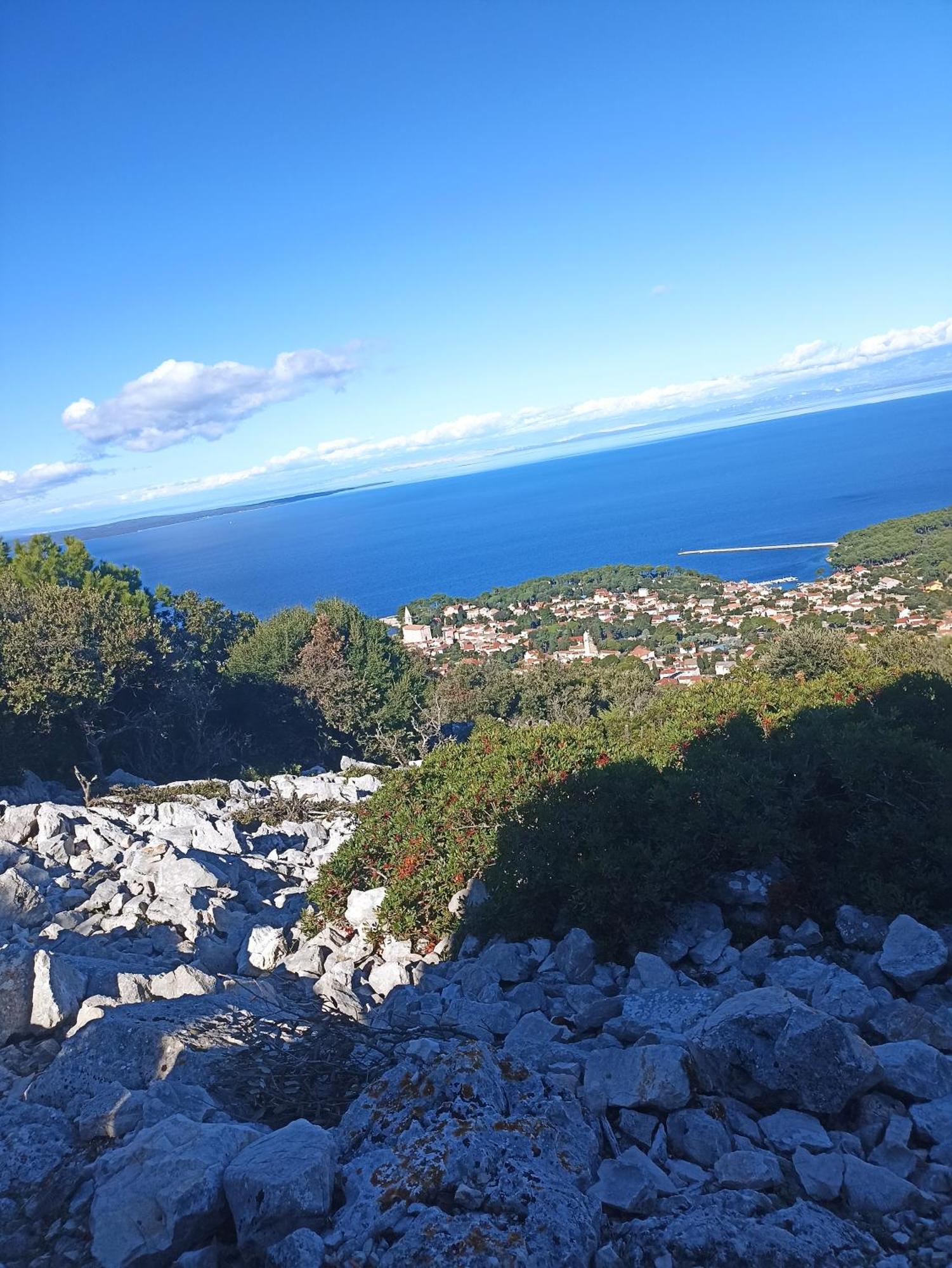 App Bonic Leilighet Veli Lošinj Eksteriør bilde